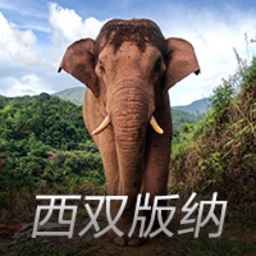 百度萝卜快跑出海，打造阿布扎比最大规模无人车队